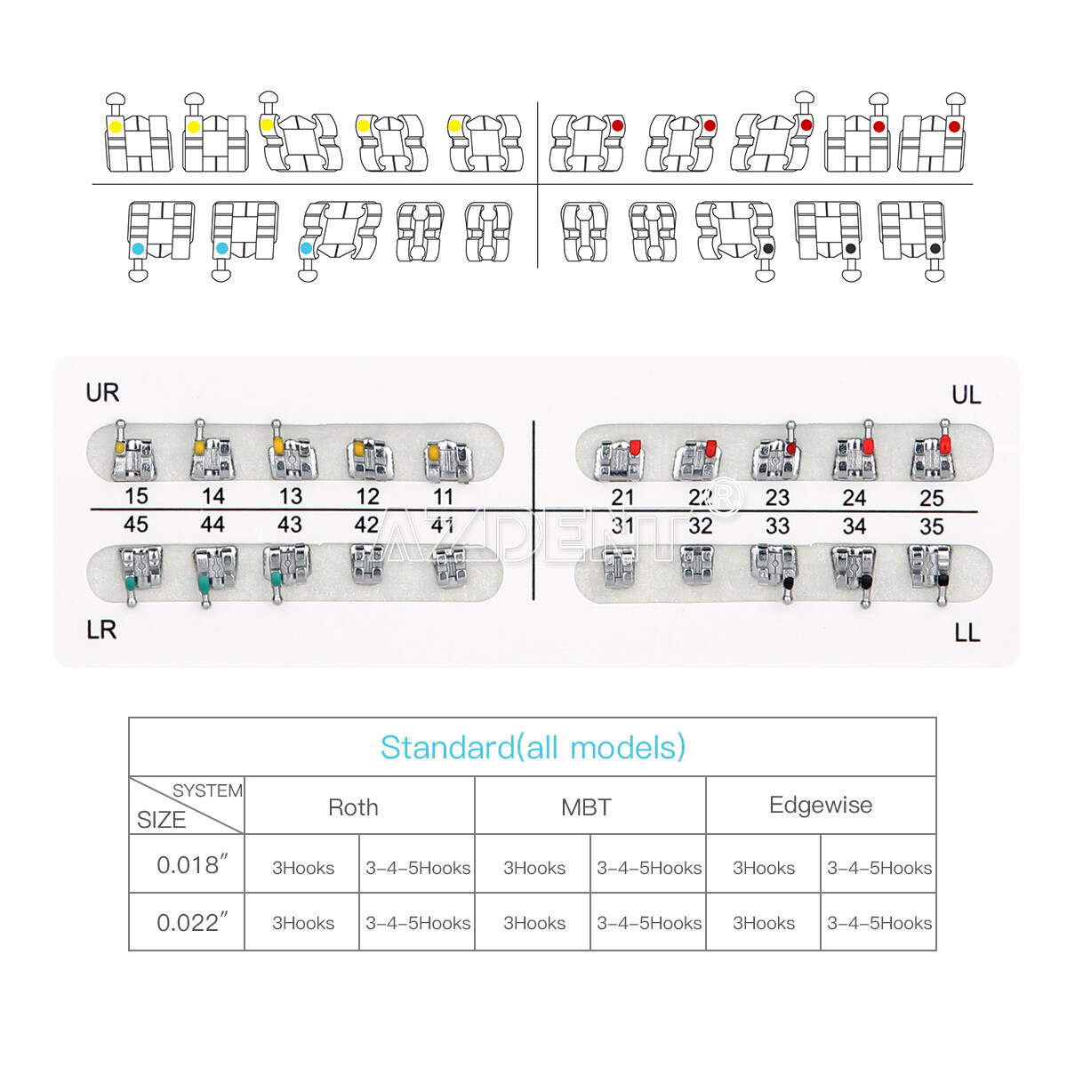 US Dental Orthodontic Brackets Braces/ Super Elastic Niti Arch Wires Ovoid Sets