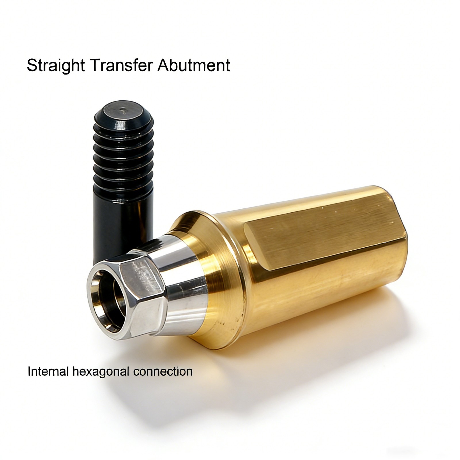US Dental Titanium Straight Abutment Fit Hiossen System Restoration Mini/Regular