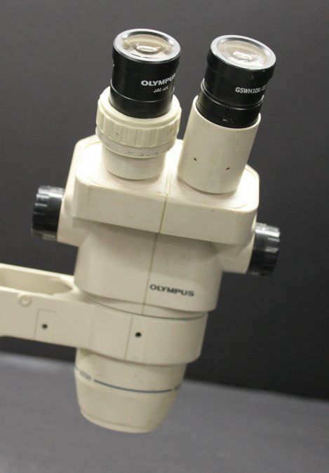 OLYMPUS SZ3060 MICROSCOPE