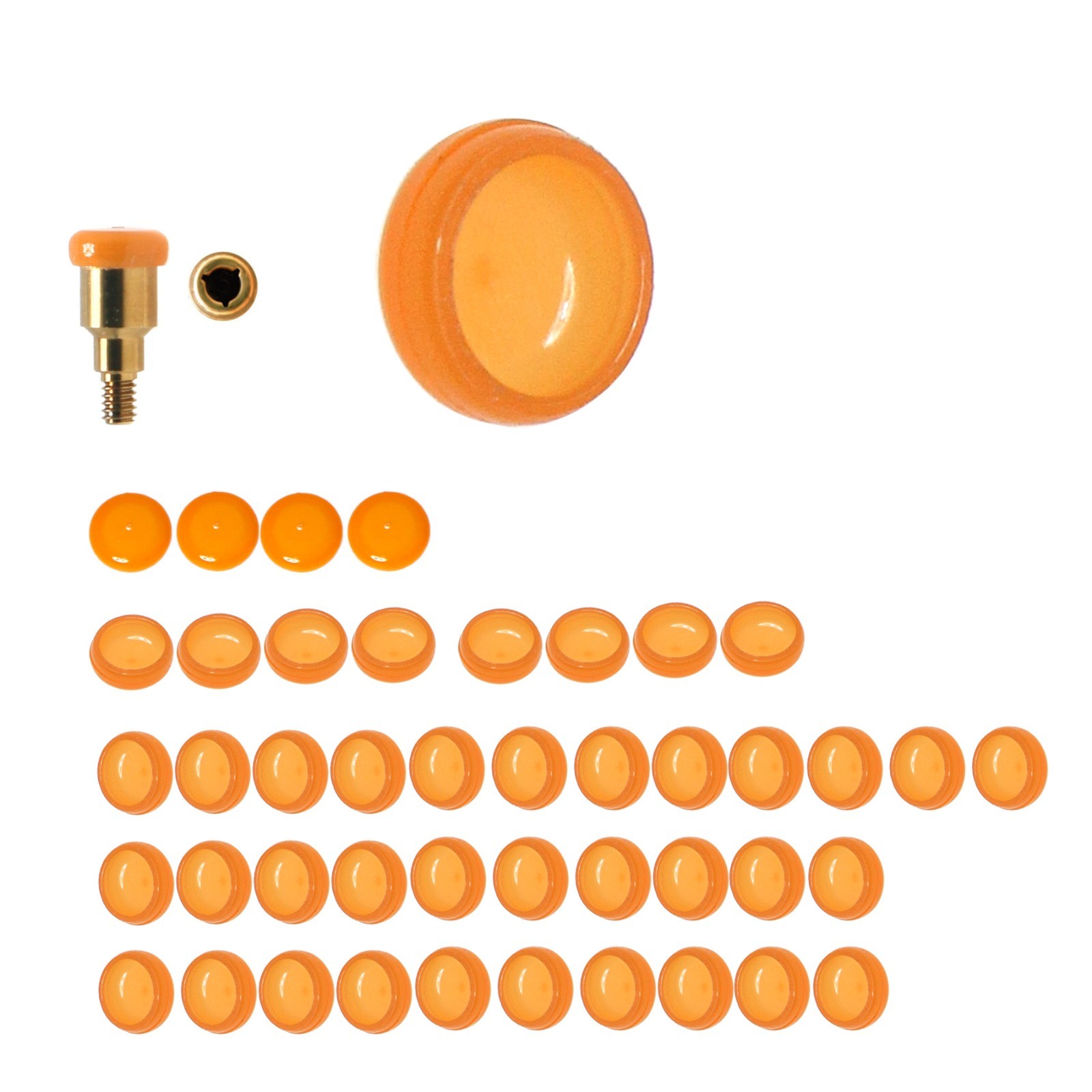 US Overdenture Locator Abutment Removable Male Cap Inserts Standard/Extended Set
