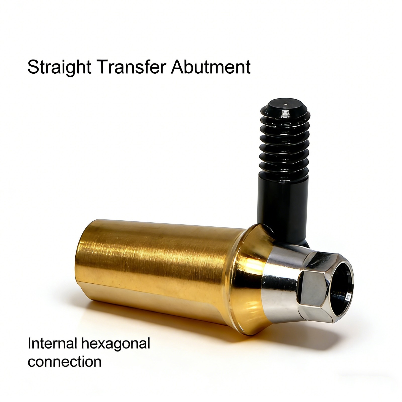 US Dental Titanium Straight Abutment Fit Hiossen System Restoration Mini/Regular