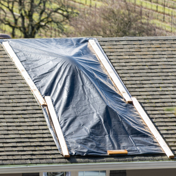 Farm Plastic Supply – Poly Cover Black Polyethylene Plastic Sheeting