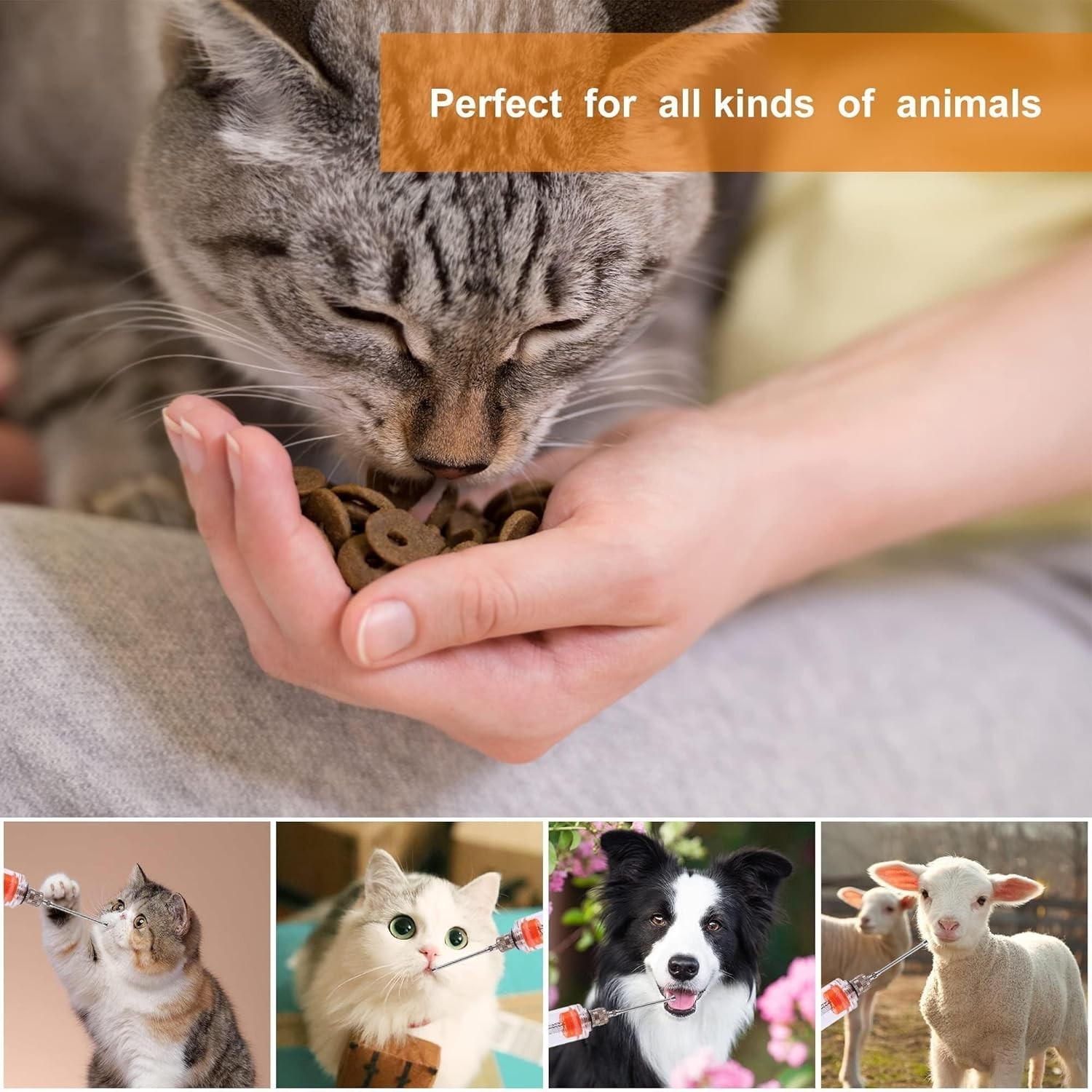20ML Animal Drenching Syringe, 2 Nozzles, Adjustable Dosage, Reusable, Suitable