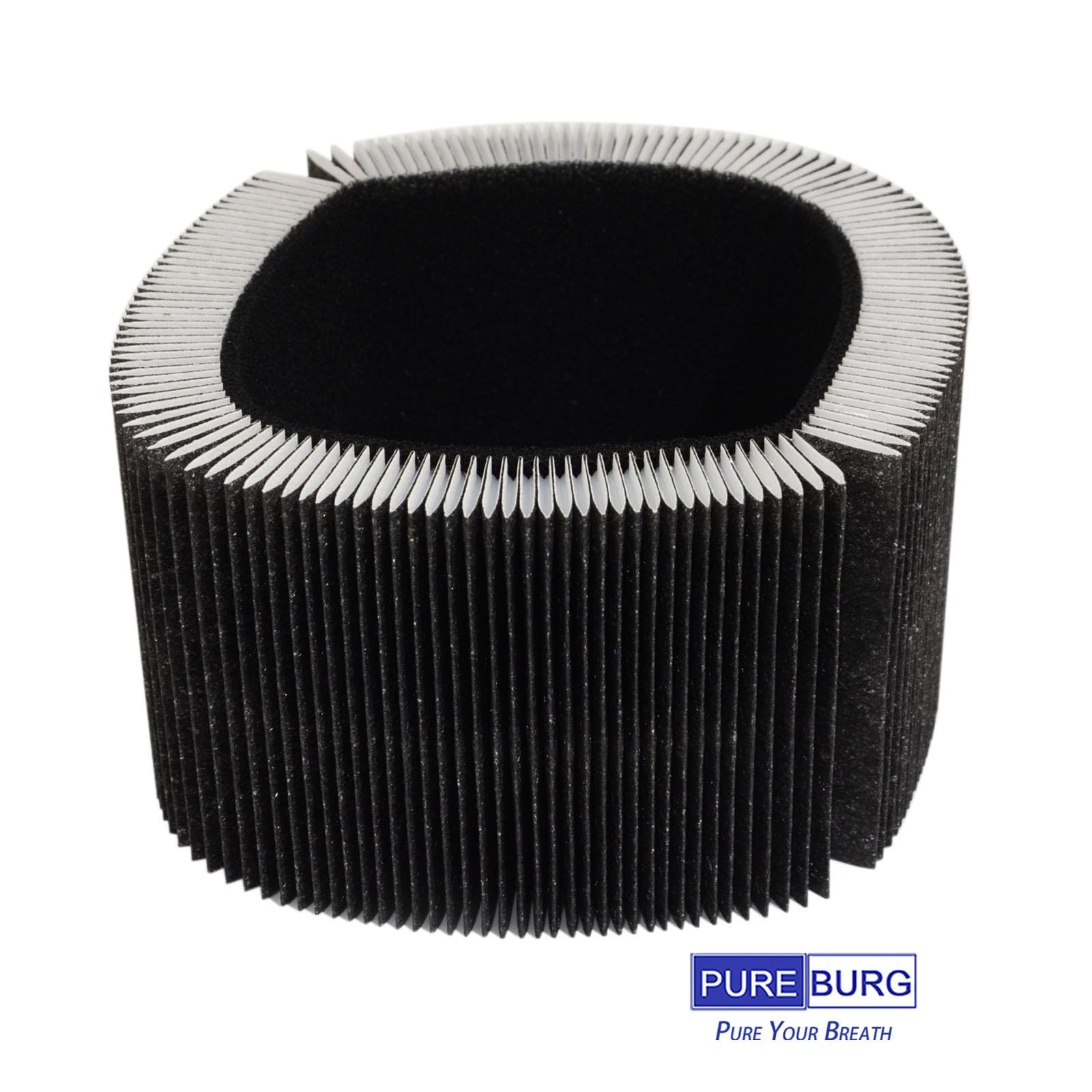 PUREBURG Replacement Filter Compatible With Dupray Bloom Air Purifier AIR030W…