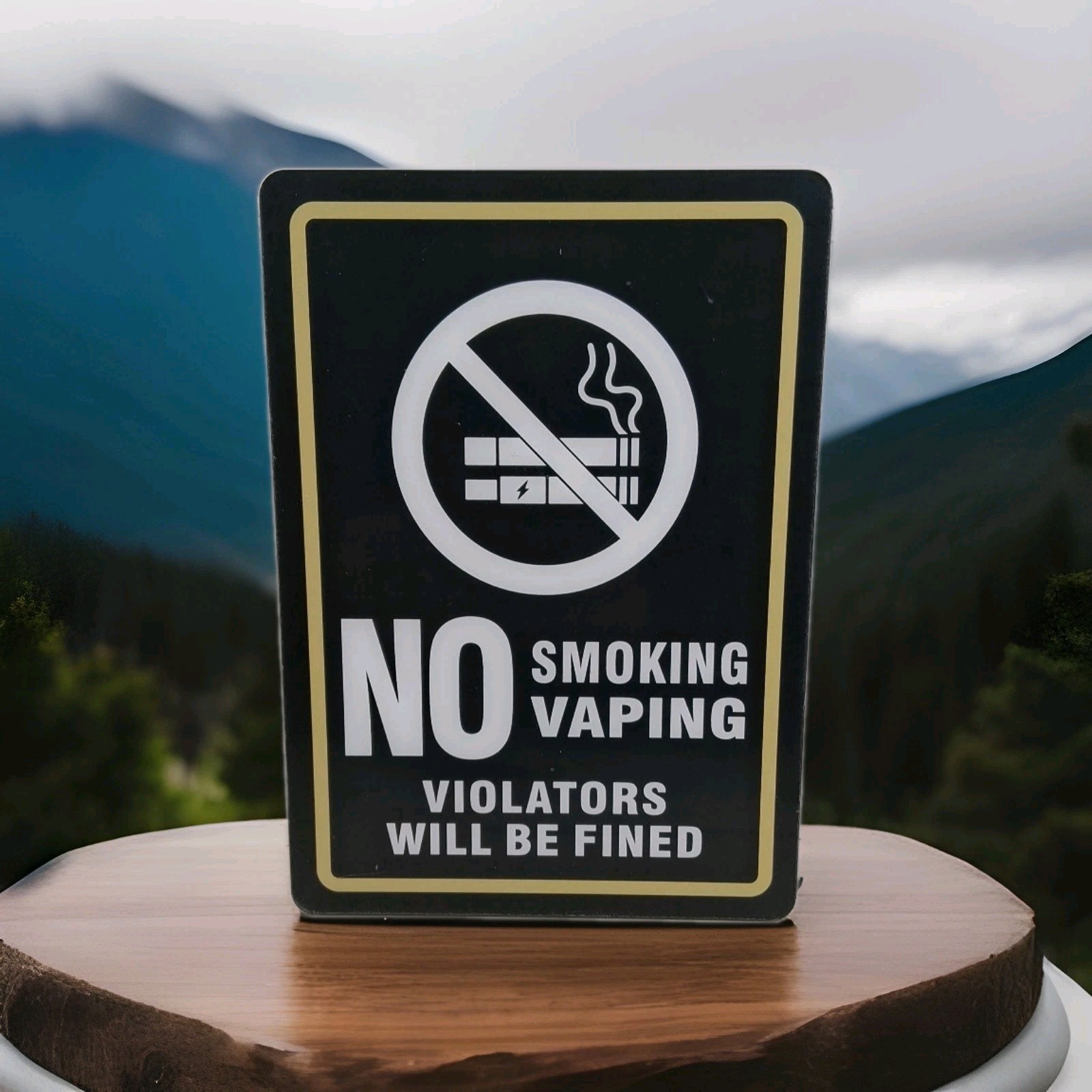 Lot of 2 No Smoking No Vaping plastic Sign, 10×7 Inches Indoor and Outdoor Use