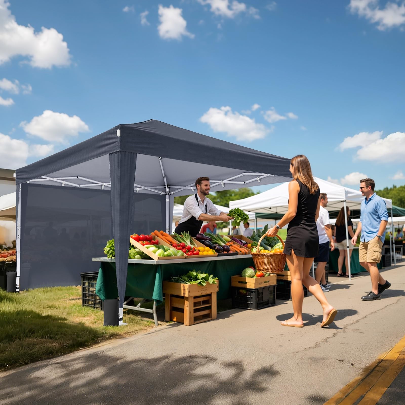 Vinabilia 10X10 Pop Up Canopy Sidewalls Instant Portable Canopy Tent Carry Bag
