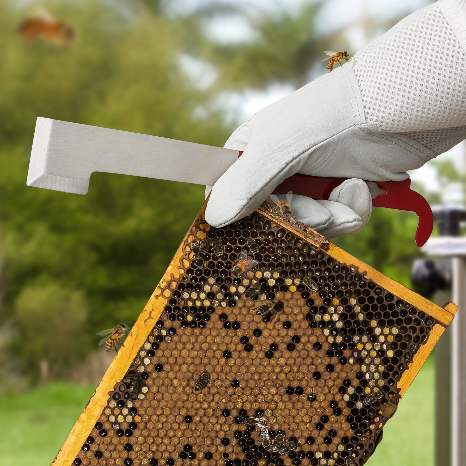 2pk Stainless Steel J Hook Bee Hive Tool, Beekeeping Honey Scraper, Frame Lifter