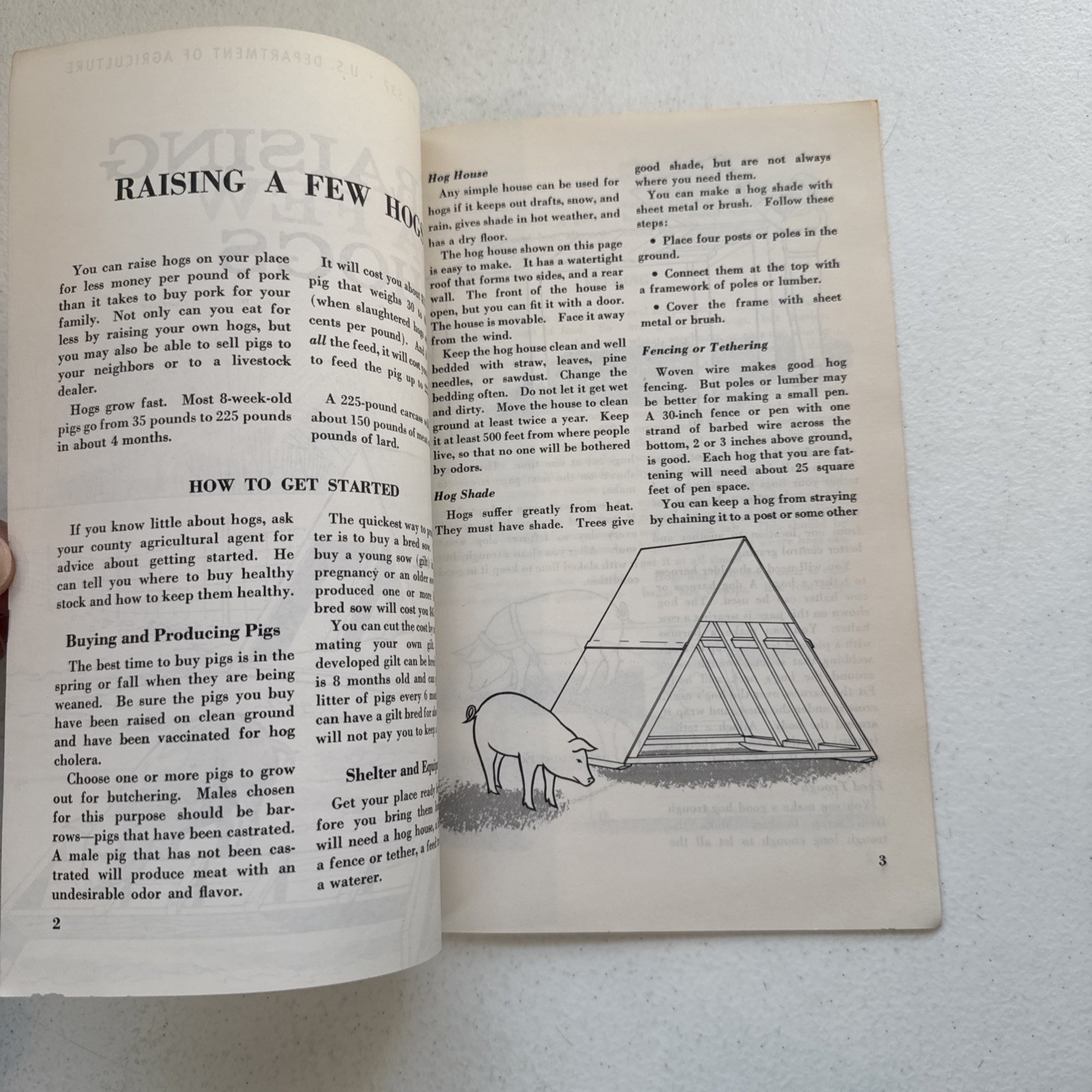 Raising A Few Hogs 1966 U.S. Department of Agriculture Leaflet No. 537