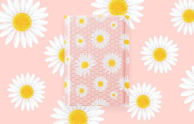 Jiaro Pack Cute Daisy Bubble Mailer Flower Padded Envelope Mailing 6×10″ 100Pcs