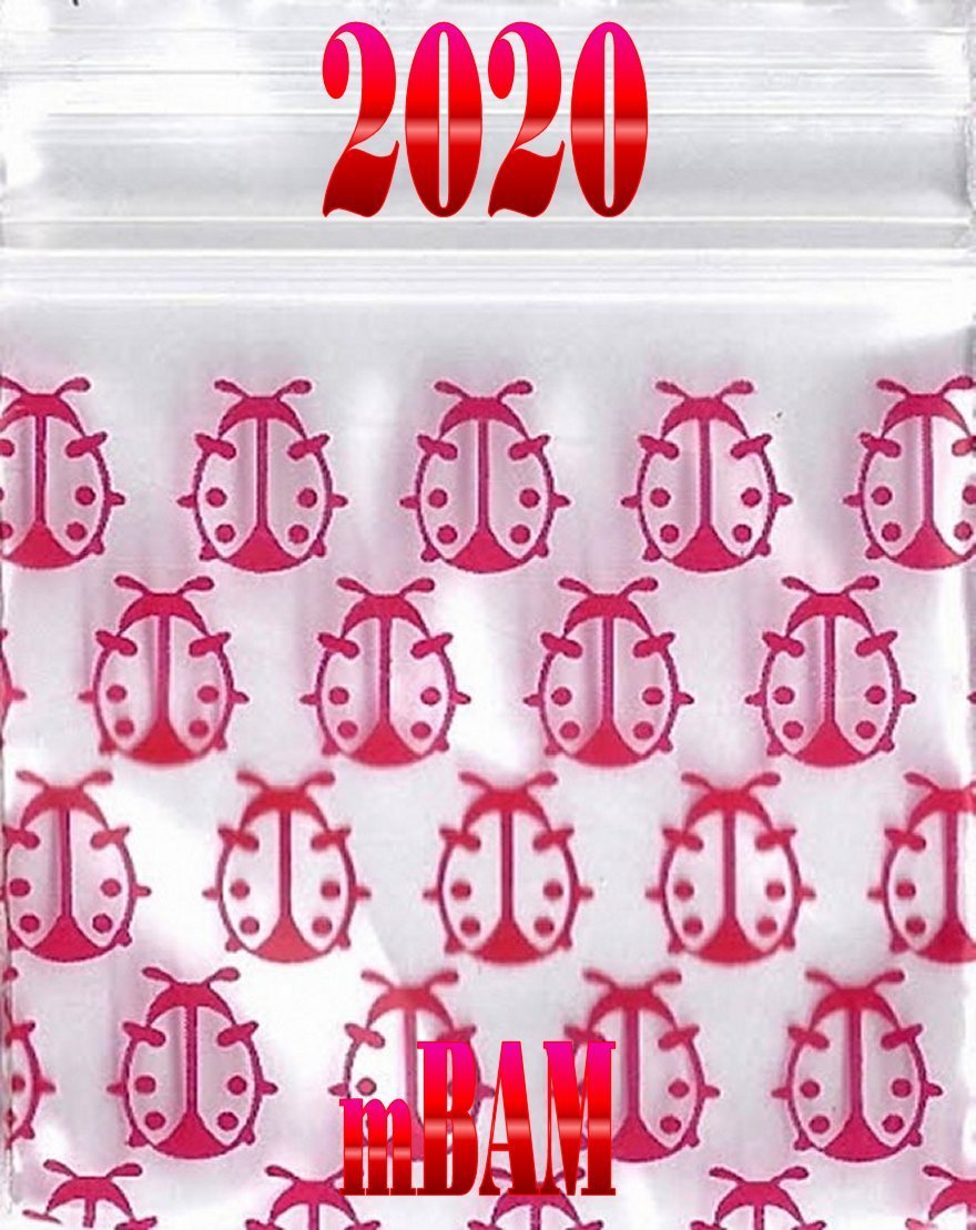 100 2.5 3.0 MIL GIRLIE LOT APPLE ZIP BAGGIES HEART SILVER METALLIC