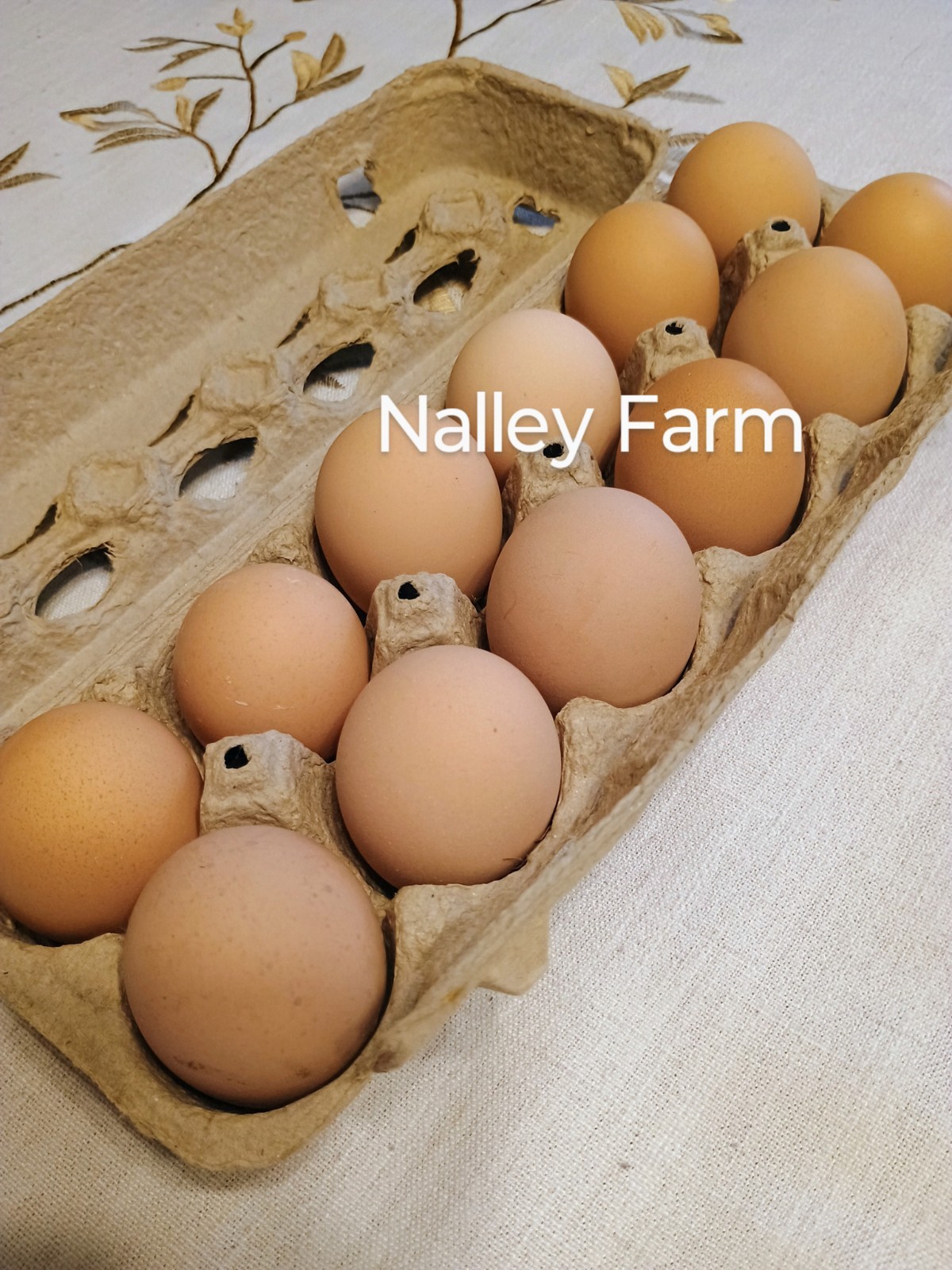 Silver Laced Wyandotte (6) 🐣 fertilized hatching eggs.Please read description.