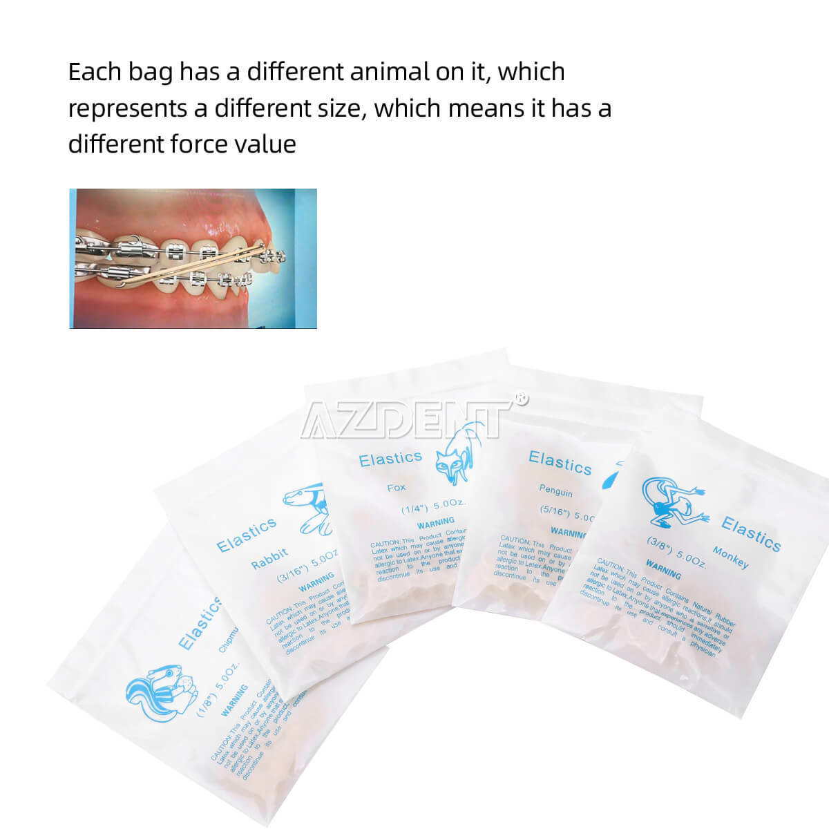 Dental Ortho Elastics Latex Braces Orthodontic Rubber Bands 5000Pcs/kit 15Sizes！