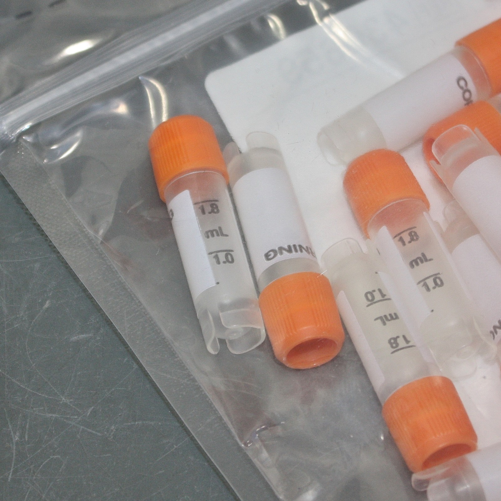 EXPIRED 5/2025 -(500) Corning 2mL Cryogenic Vials 430659, Round 12mm OD Cryo