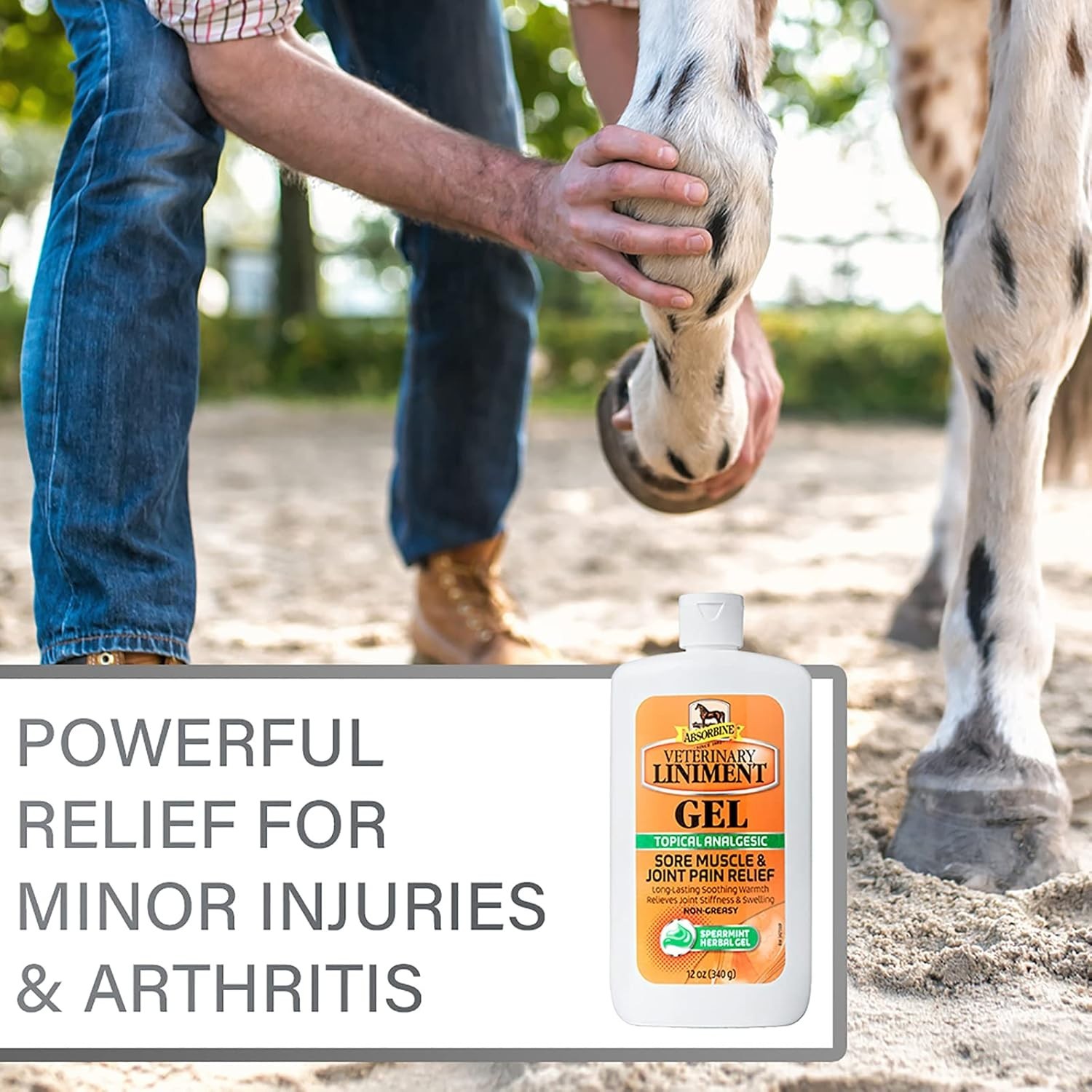 Absorbine Veterinary Liniment Gel 12 oz – free shipping!!!