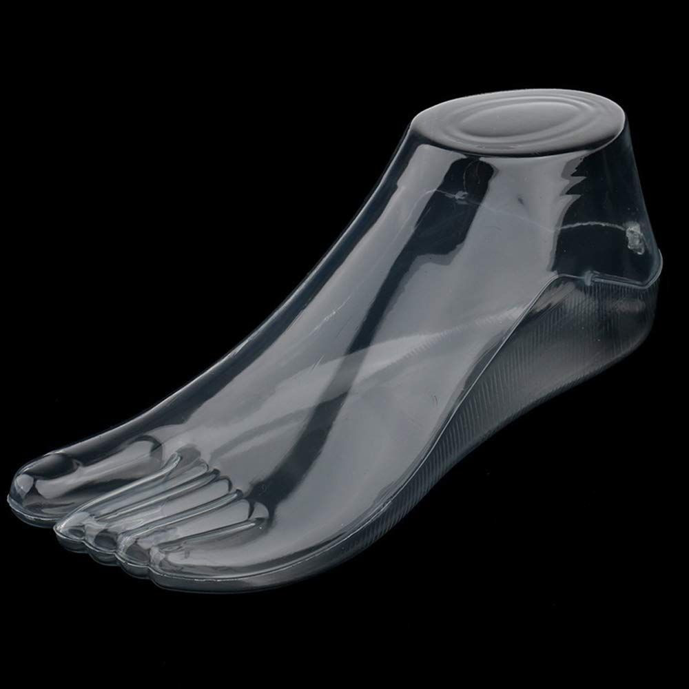 Female Plastic Foot Model Tools for 22 x 9 x 7.62 centimeter, Transparent