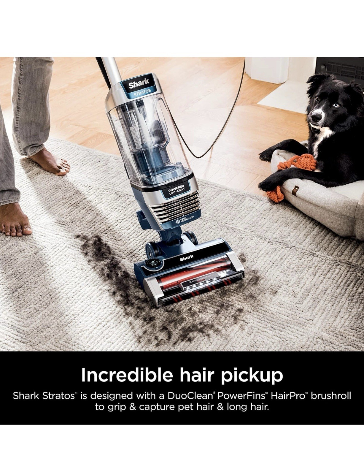 Shark Stratos Powered Lift-Away Upright Vacuum, HEPA, DuoClean, Pet Tools, LED