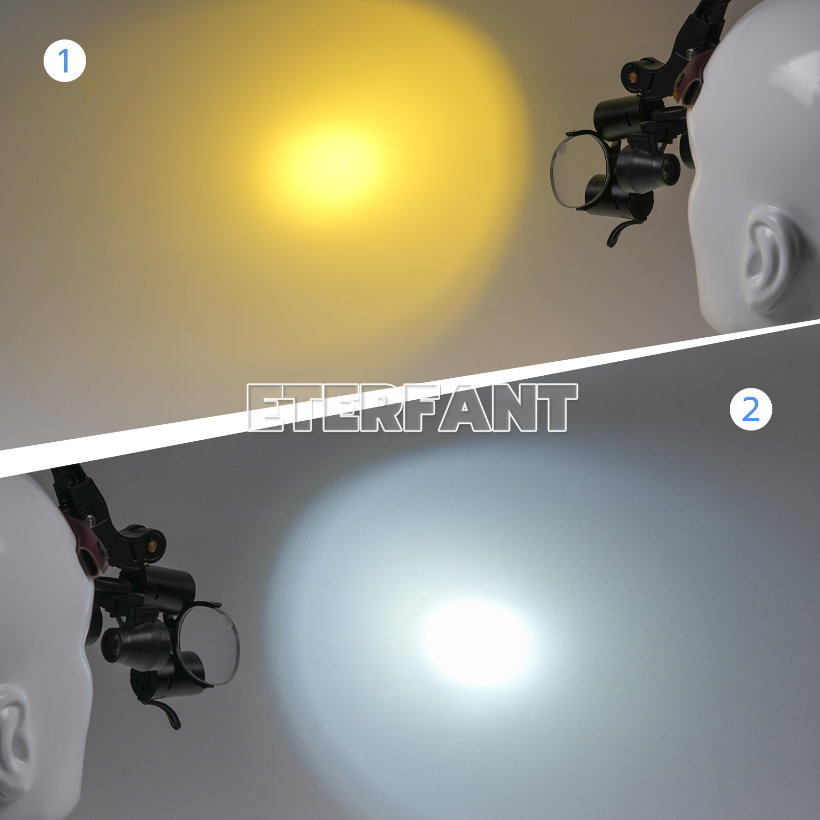 3.5X Dental Surgical Headband Binocular Loupes with 5W LED Head Light 2 Leds