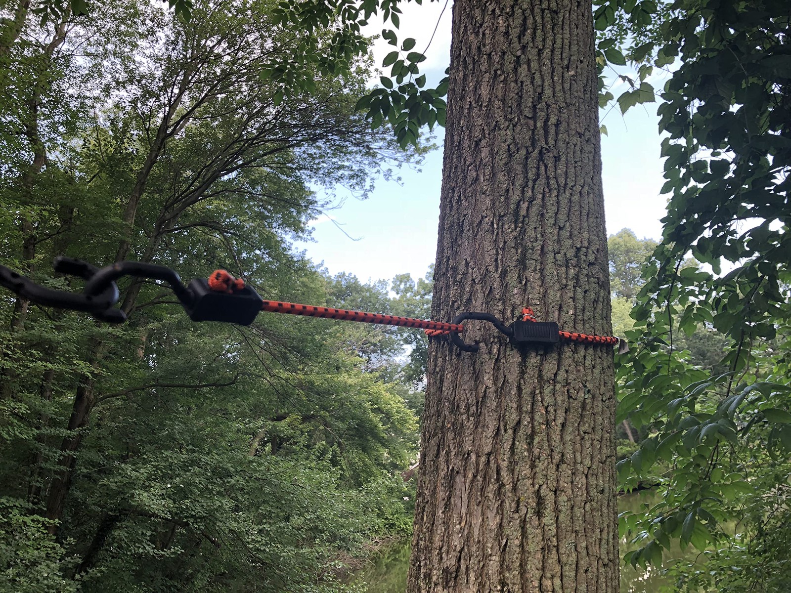 Mabc32 All Purpose Adjustable Bungee Cords With Hooks 32inch Orange/black 10 Cou
