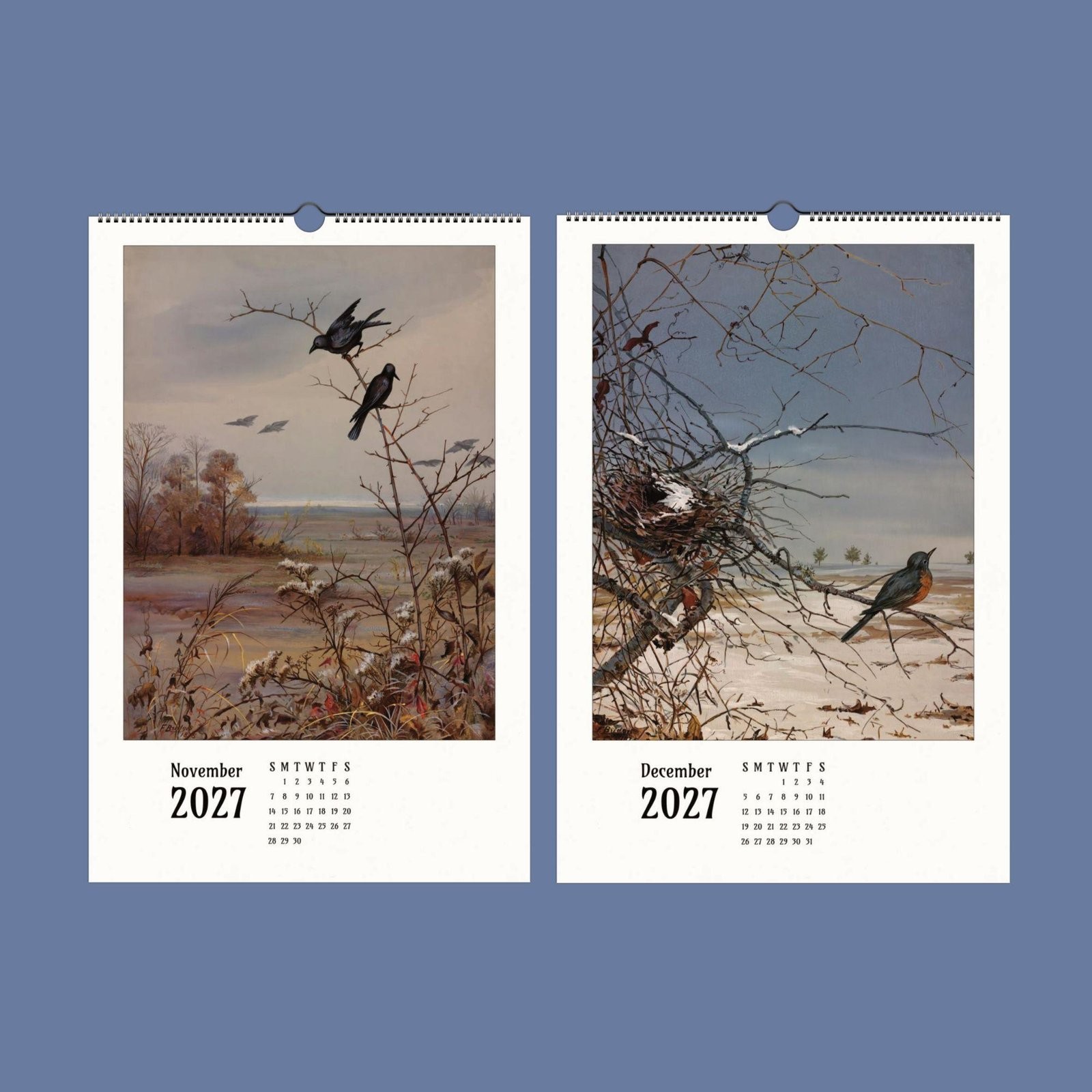2027 Fidelia Bridges Wall Calendar – Botanical Bird Watercolor Gift, 11×16.5″