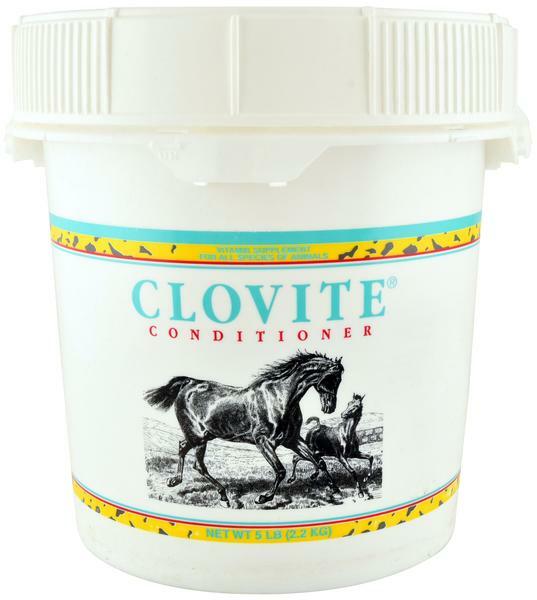 Clovite Conditioner Vitamin Supplement for Equine & Other Large Animals – 5lb