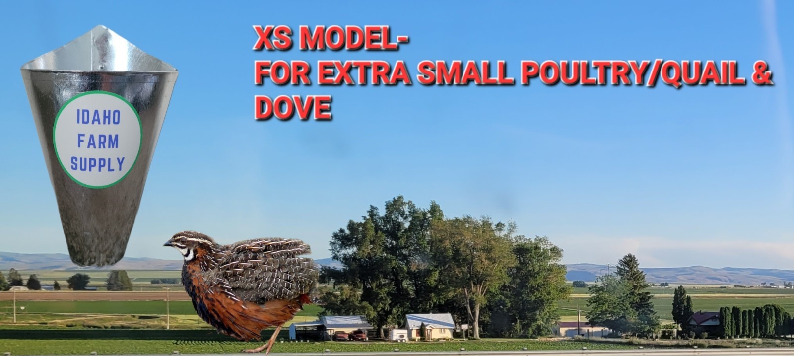 Extra Small Poultry Restraining Kill Cone For Quail Dove FREE SHIPPING!