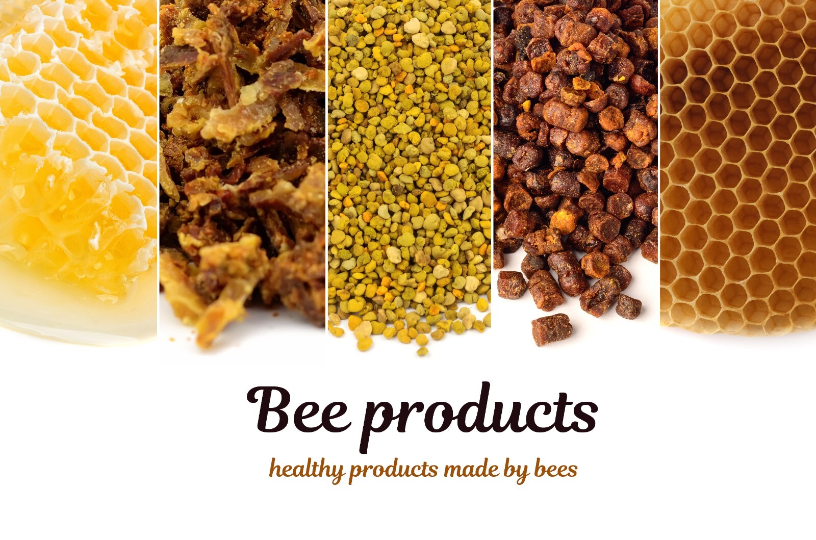 Bee-Health Pro – Feeding Supplement with Essential Oils for Honey Bees
