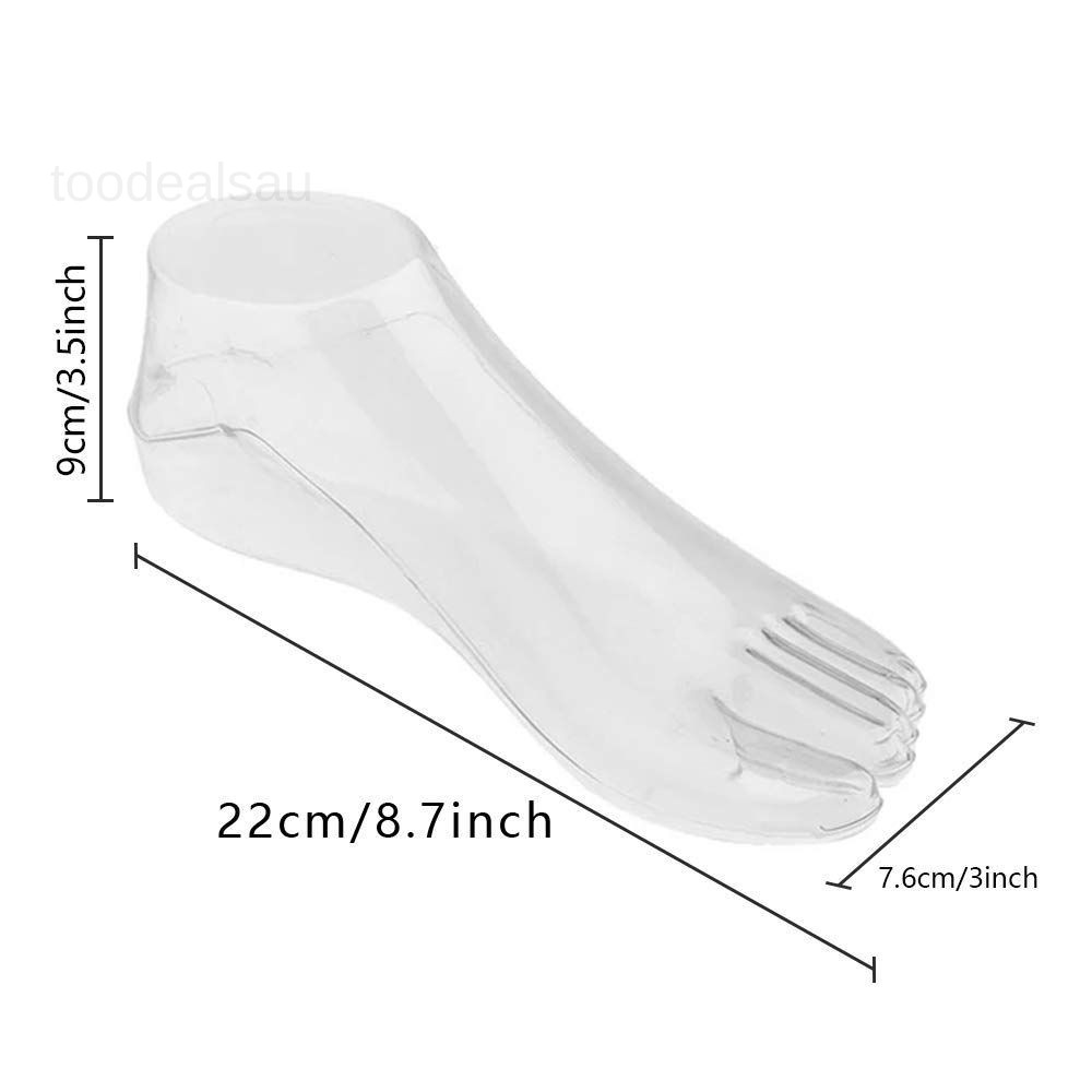 Female Plastic Foot Model Tools for 22 x 9 x 7.62 centimeter, Transparent