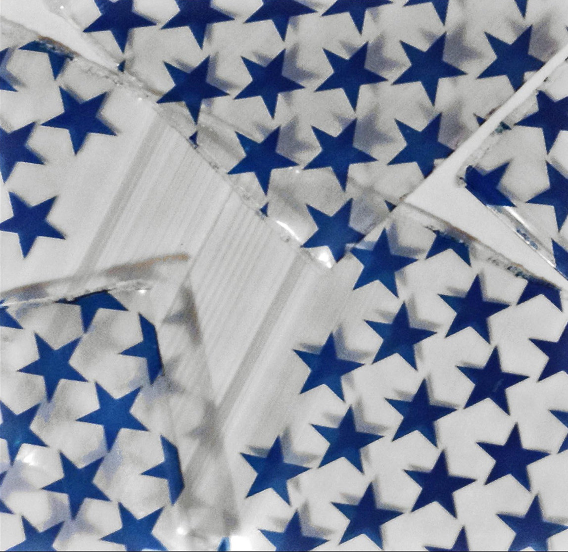 1000 SMALL BAGGIES 1515 1.5″ X 1.5″ MINI Resealable BLUE STAR (10 packs x 100)