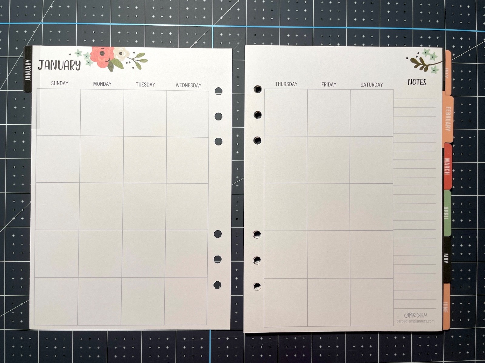 Carpe Diem Undated A5 Monthly Planner Inserts – Bloom