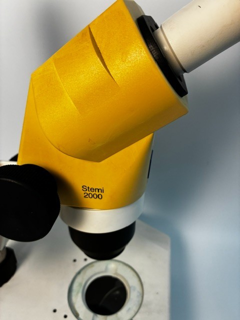 Zeiss Stemi 2000 Stereo Microscope with Stand Working Pull 30-Day Warranty