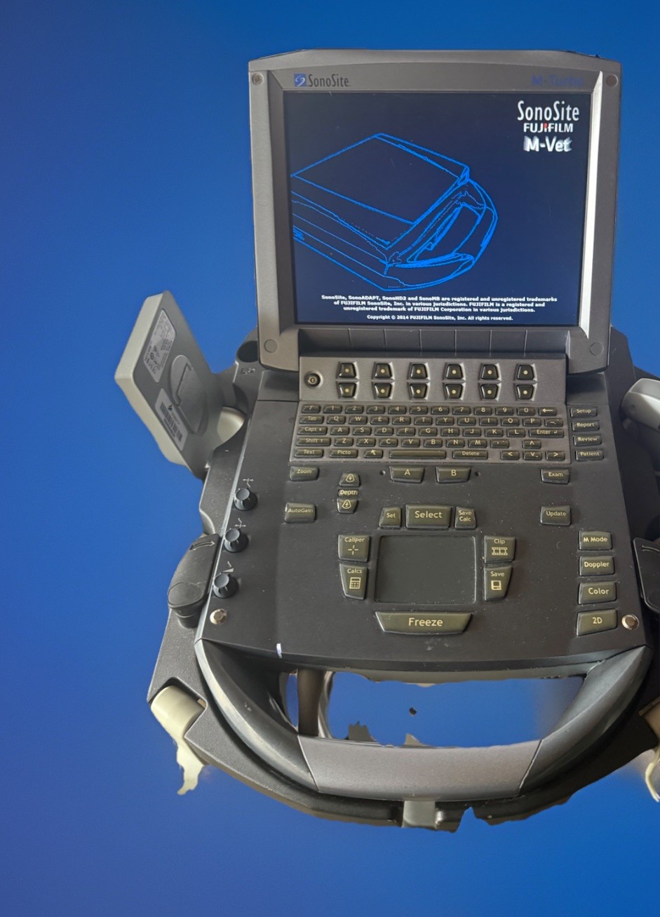 SonoSite M-turbo Portable Vet Ultrasound w/ C11x & P21x Transducer Probe