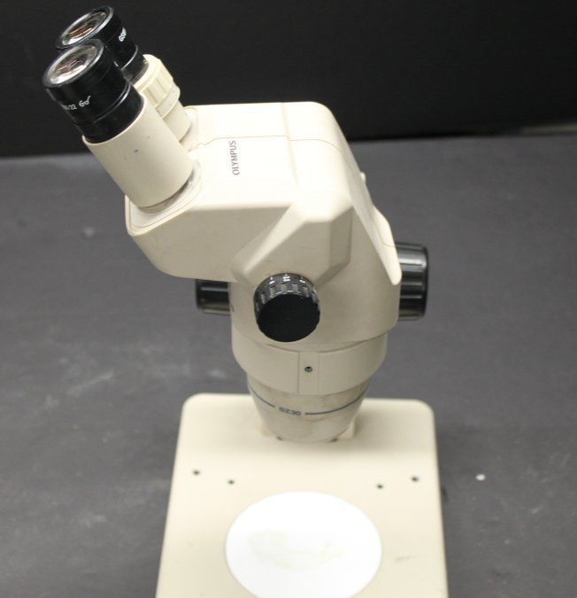 OLYMPUS SZ3060 MICROSCOPE