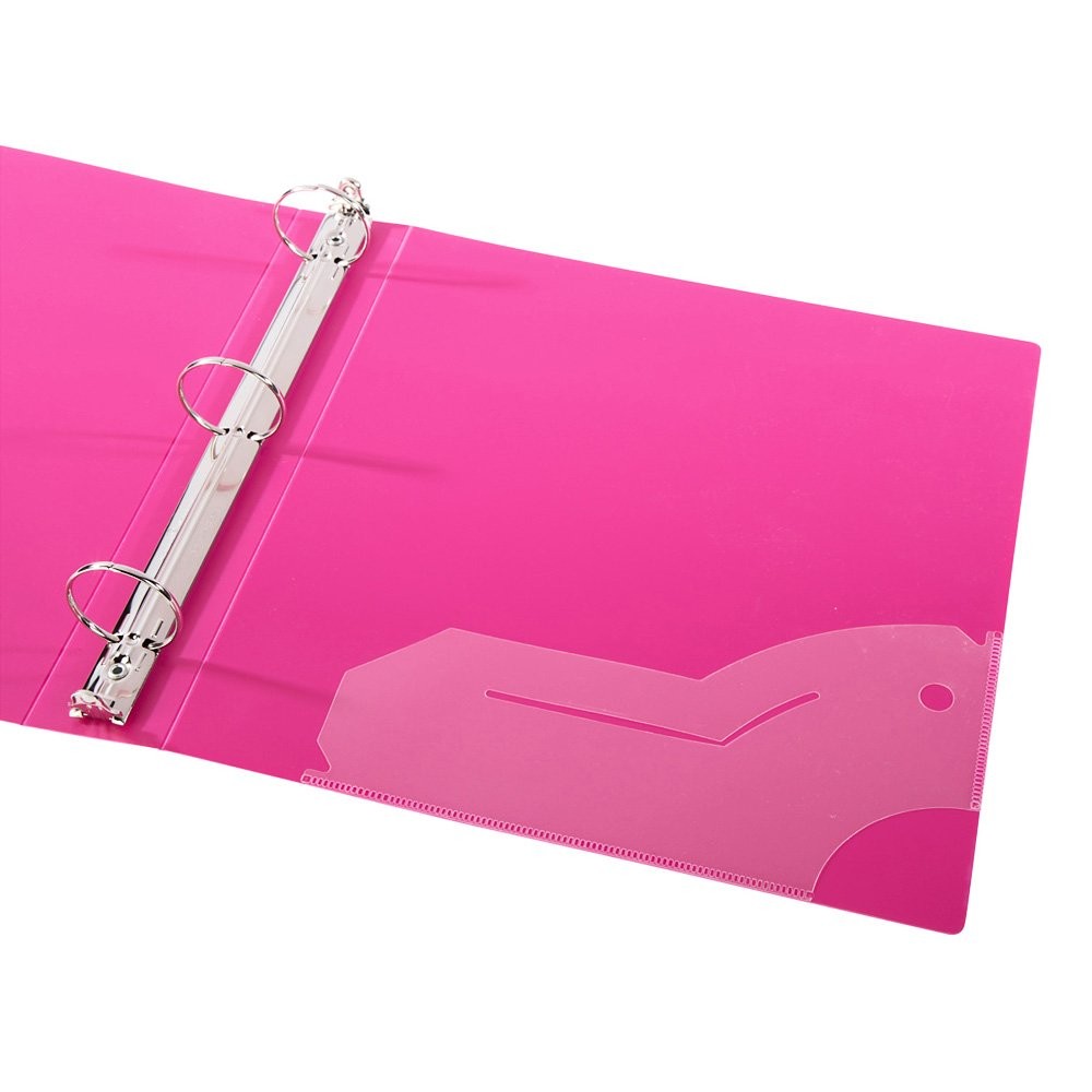 Filexec 3-Ring Binder 1 – 12 Pack Blue Hot Pink Purple Green 50573-64970