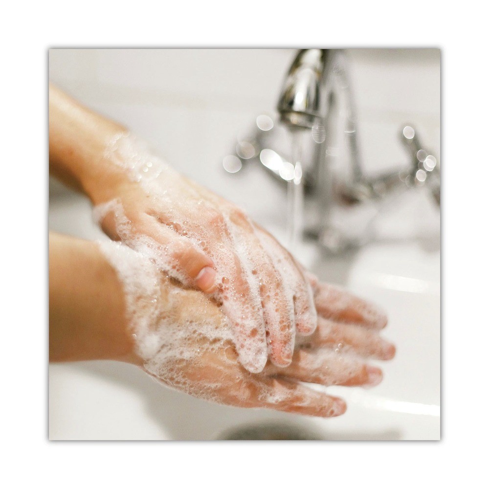 Dial Professional 33827 Liquid Hand Soap Refill – Unscented 6/CT New