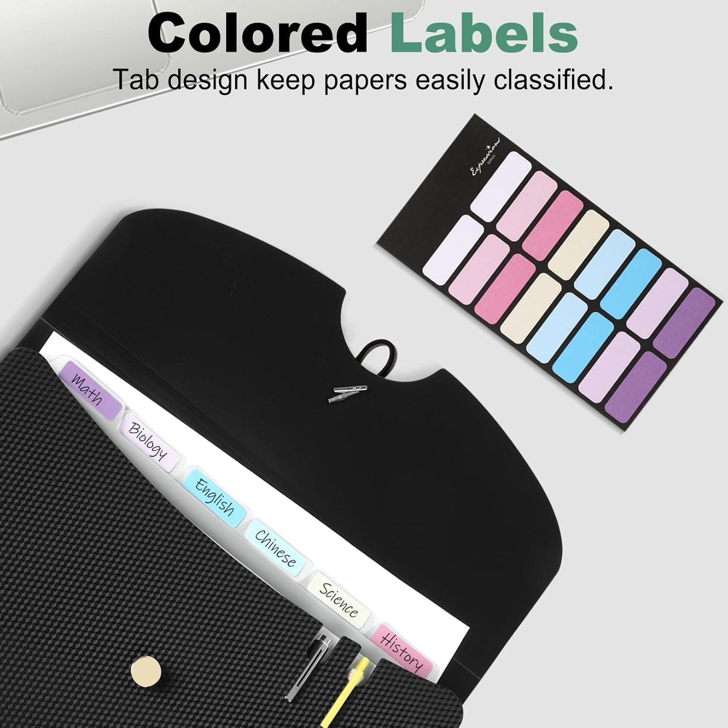 Expanding File Folder with Bungee Closure – Lightweight Green Design