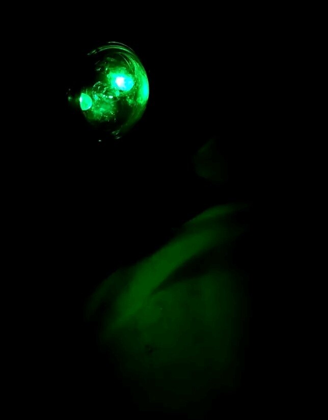 VIP Signal Light Adventure Light Takes 3V Lithium Battery 2/3A OEM/Genuine Green