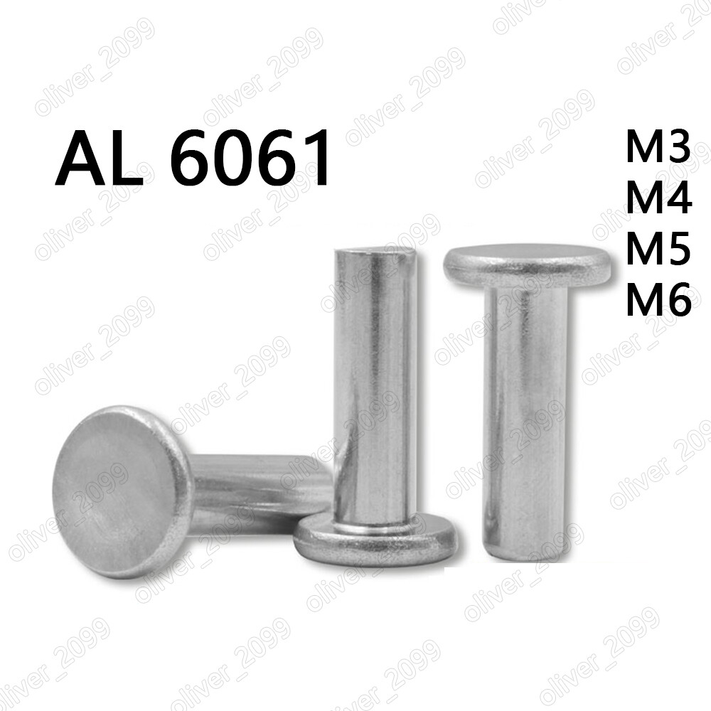 Aluminum 6061 Flat Head Rivets M3 M4 M5 M6