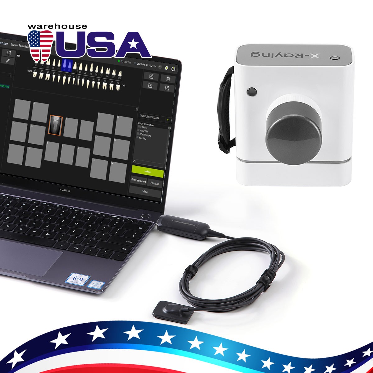 USA Dental Endodontic Apex Locator Electric Root Canal Finder LCD Display