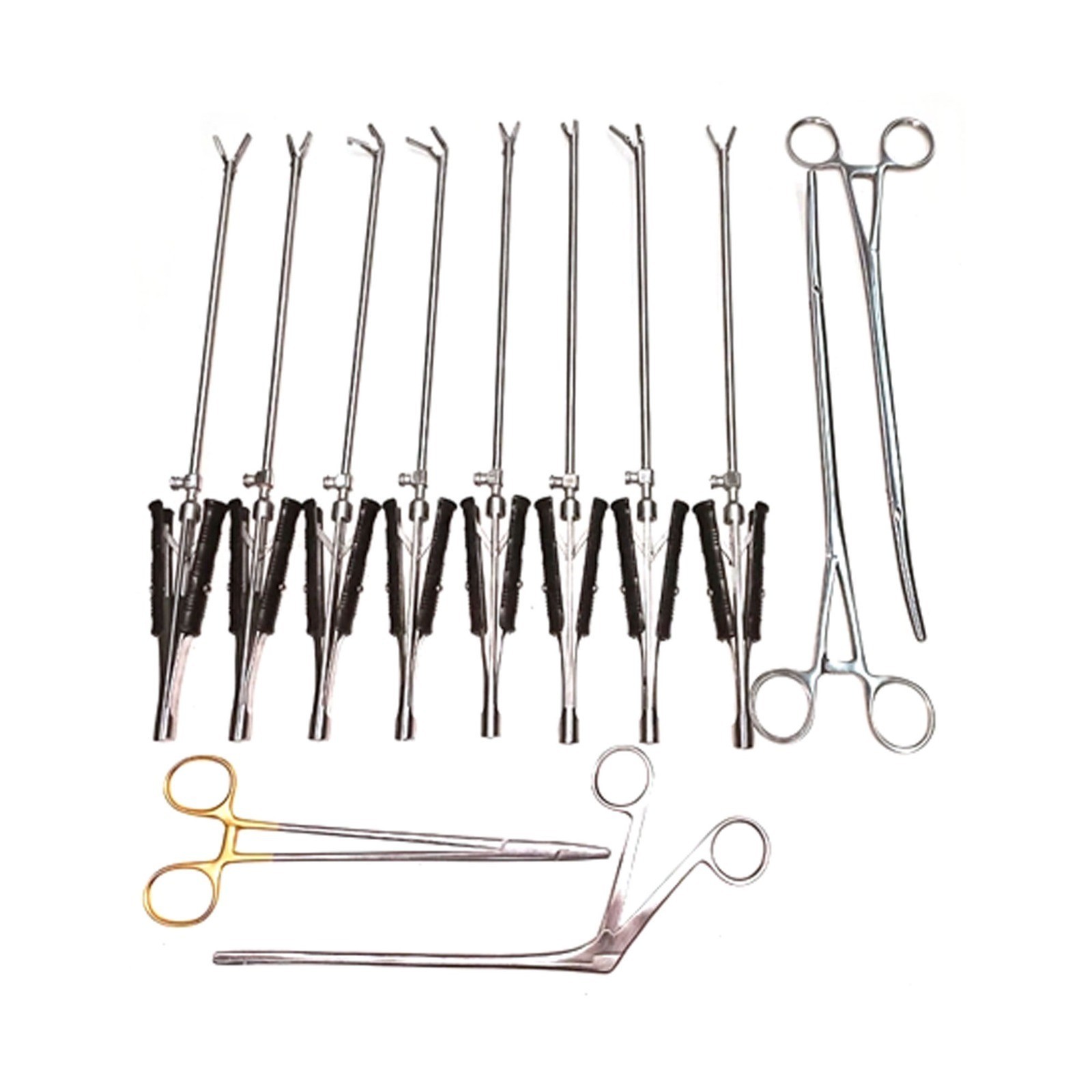 Valve Cardiac Surgery Premium Quality 12Pcs Surgical Instruments Set