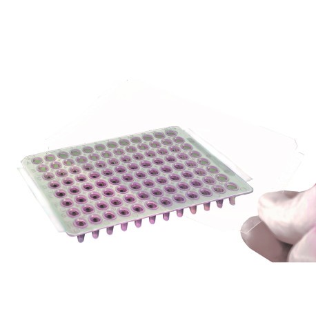 Simport Secureseal Transparent Sealing Film