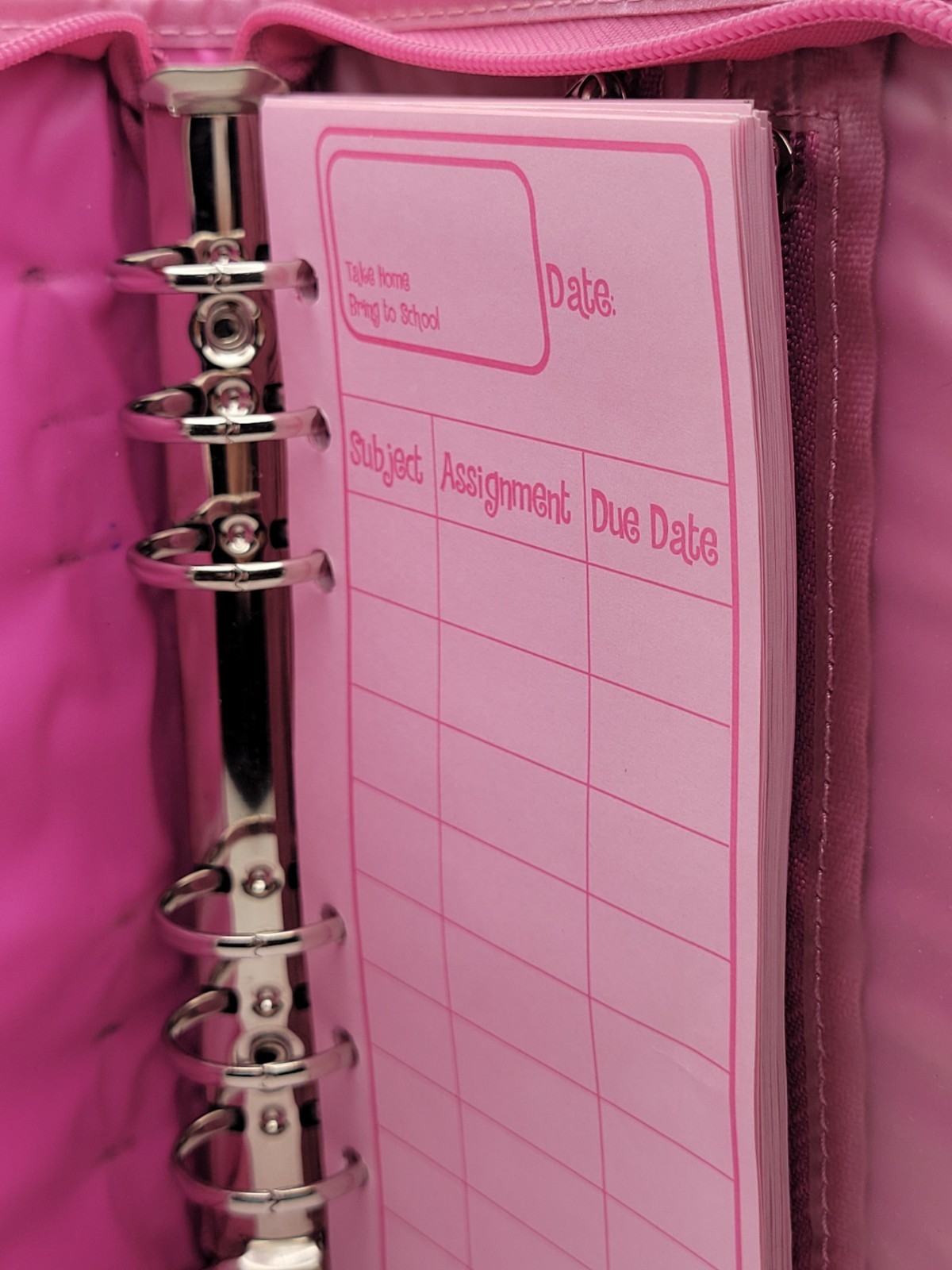 Vintage Y2K Bratz Mini Binder Hot Pink Leopard Print 2002