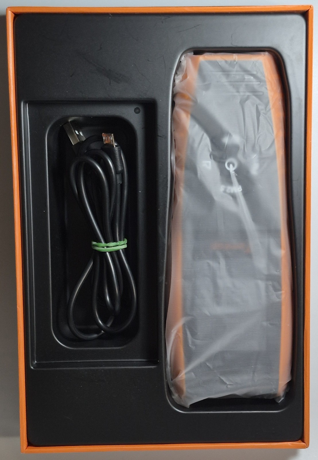 Temtop PM2.5 Monitor P600 Essential Air Quality LCD Display Particle Meter inBox