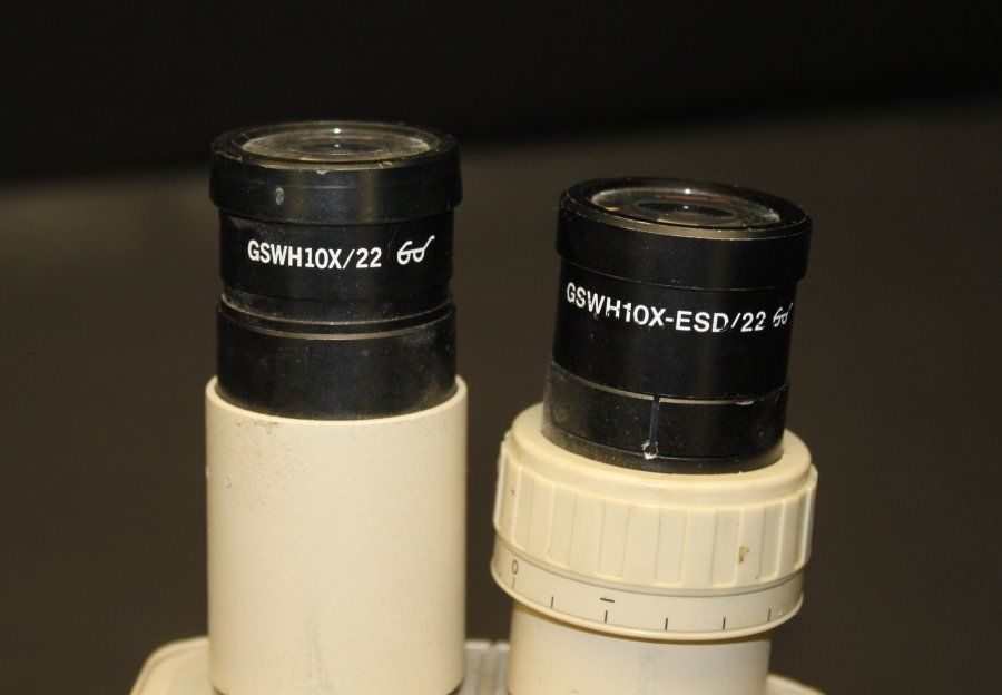 OLYMPUS SZ3060 MICROSCOPE