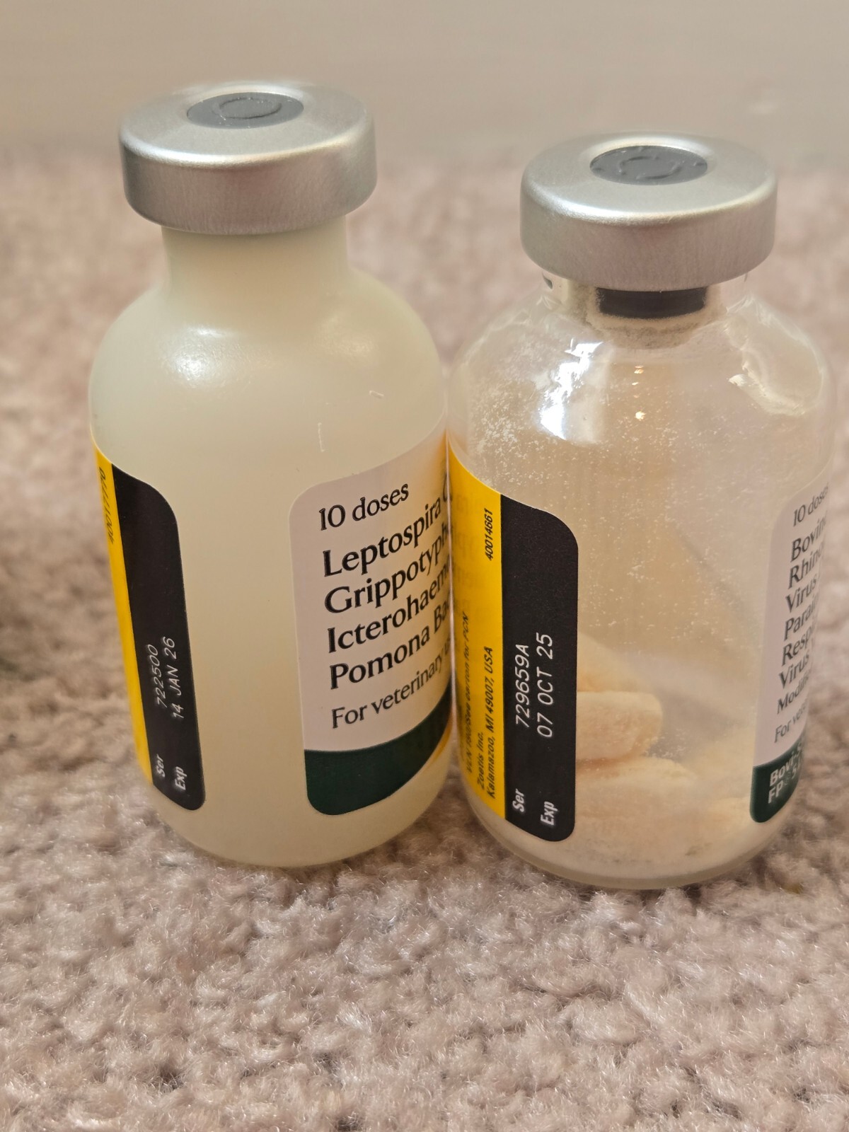 Bovishield Gold FP 5 L5 HB Zoetis