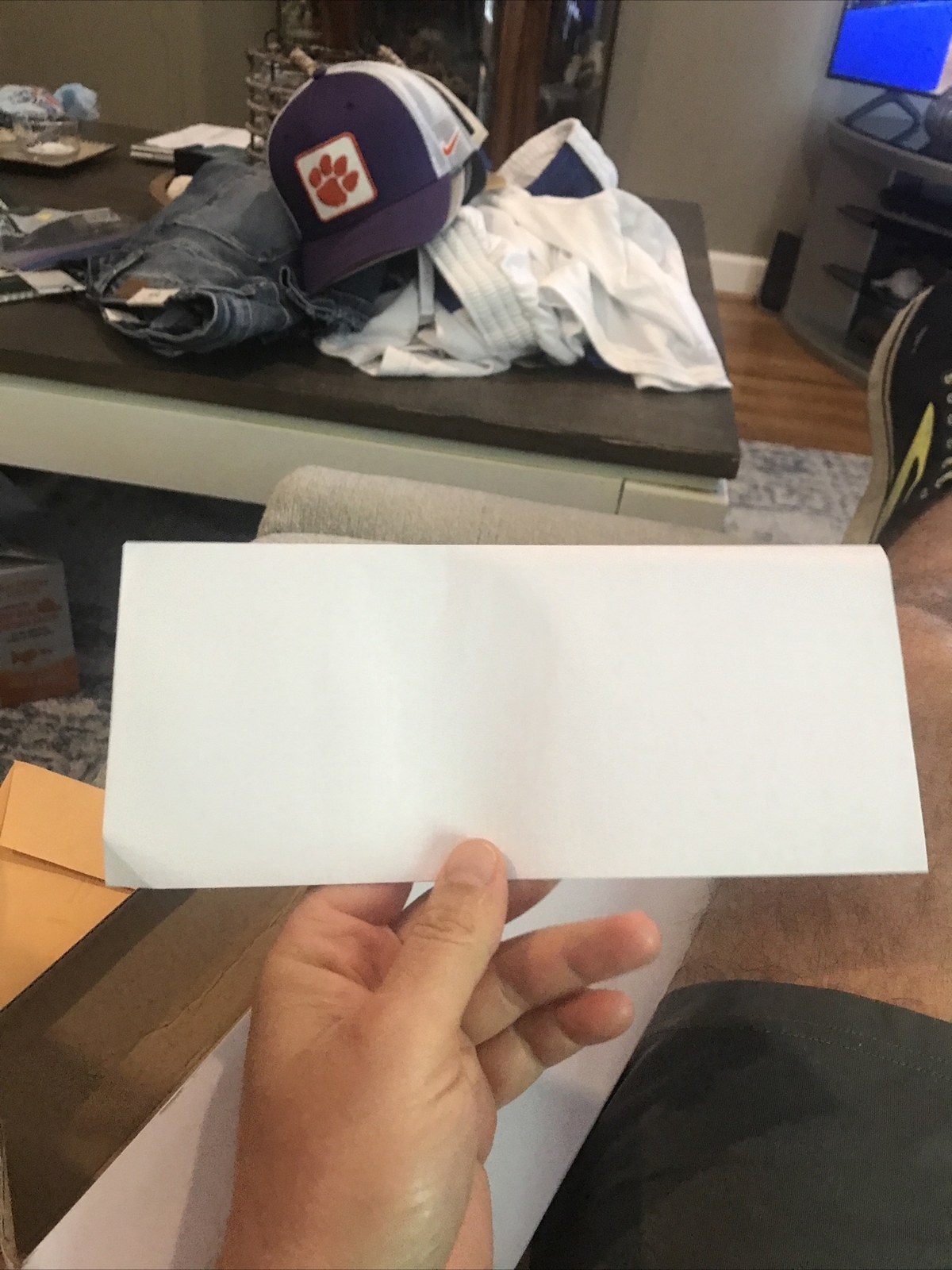 100 Count 4.5″ x 9.5″ #10 Business Envelope Peel and Seal Cheapest On eBay