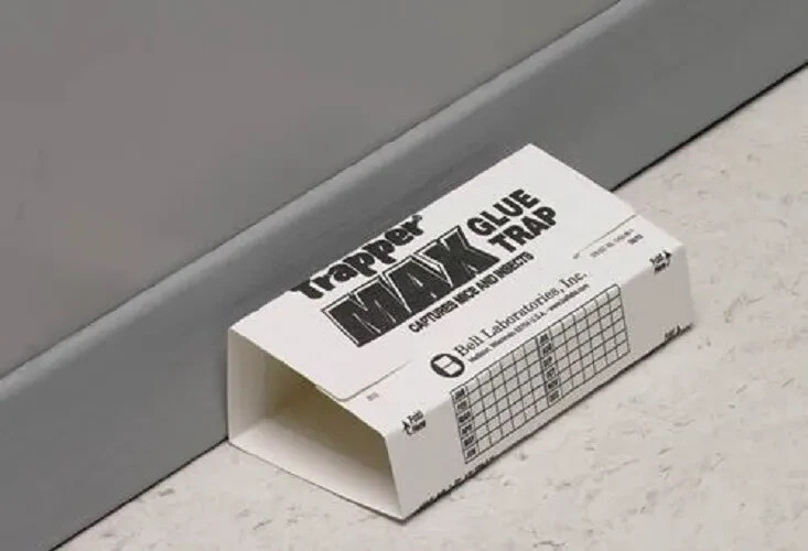 Trapper Max Glue Traps Unscented 24 Pack Mice Glue Boards TrapperMax MouseTraps