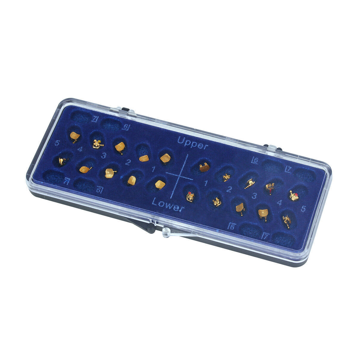 Dental Orthodontic Brackets Braces 24K Gold Plated Mini Roth 0.022 hooks 345