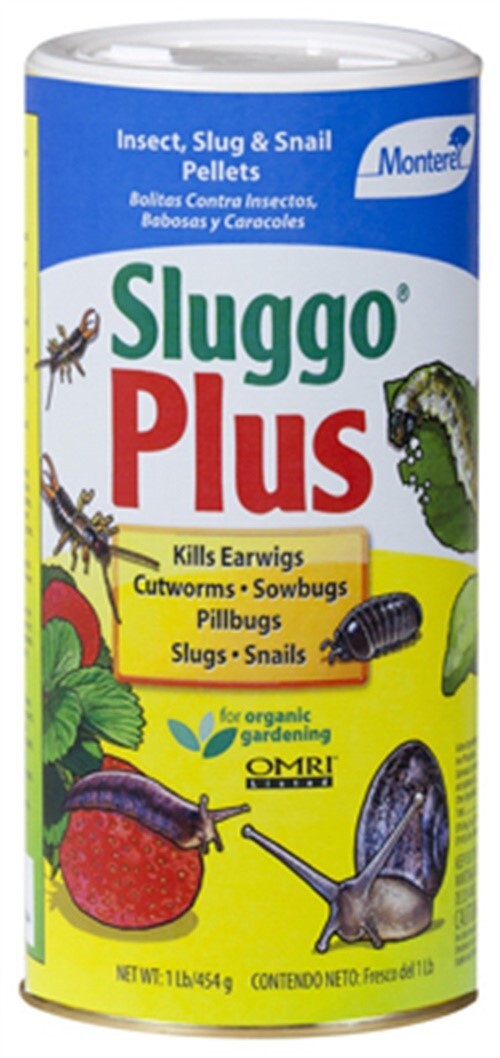 SLUGGO PLUS 1 LB