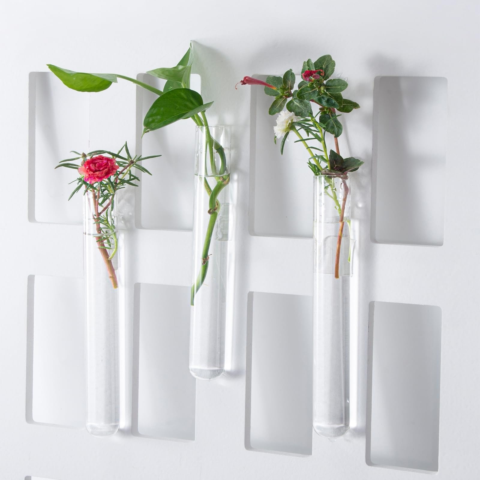 30pcs 20ml Glass Test Tubes with Cork Stoppers for Experiments and Plants