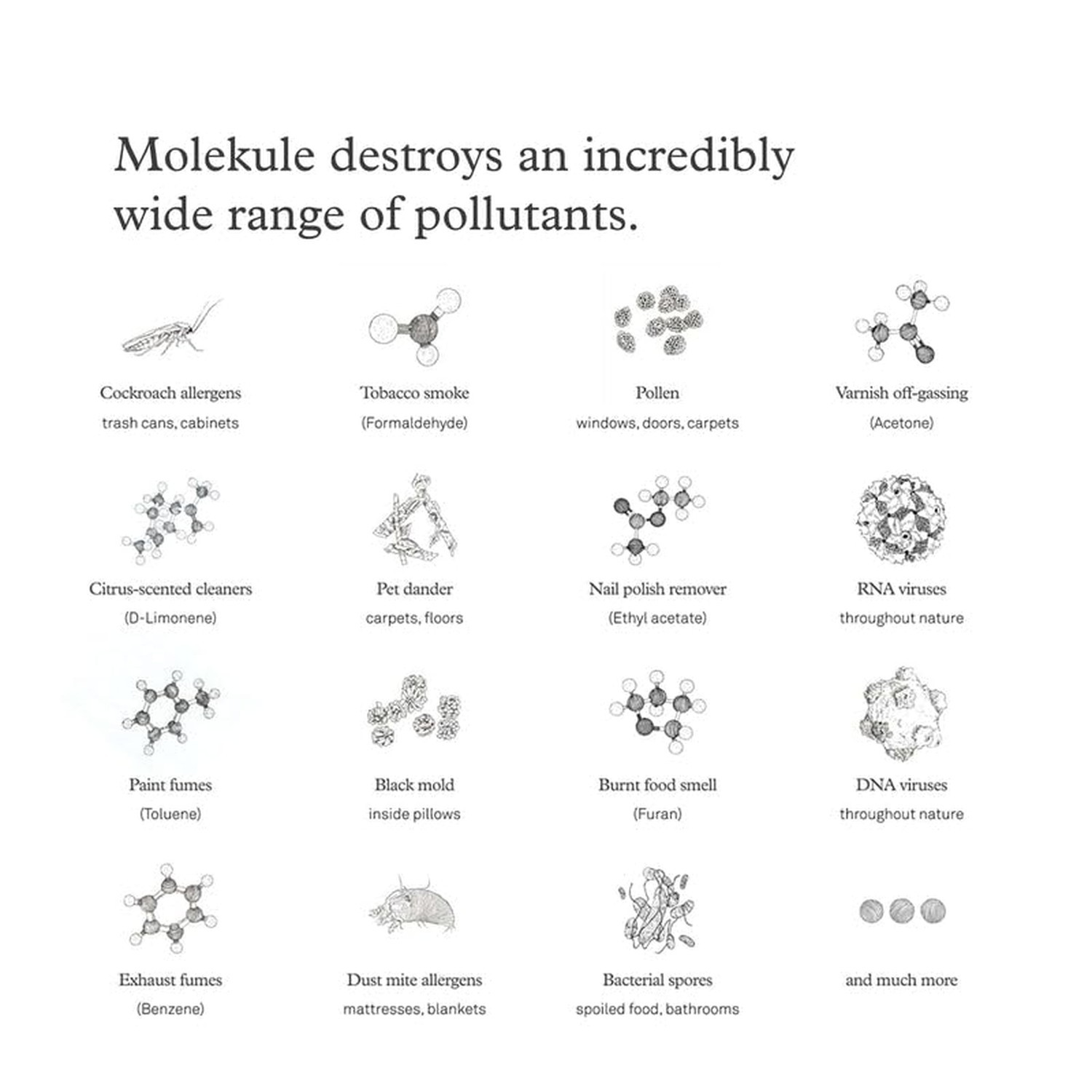 Molekule Air PECO-Filter Replacement – Authentic Molekule Advanced PECO-Filte…